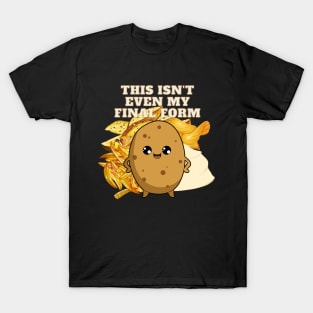 This isn't even my Final Form T-Shirt